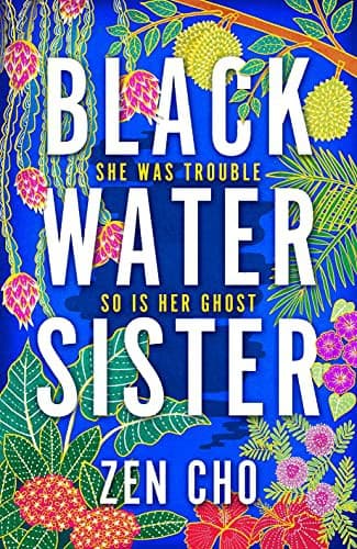 Cover of Black Water Sister
