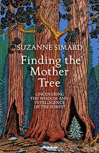 Cover of Finding the Mother Tree